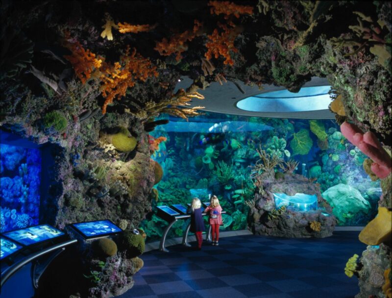 John G. Shedd Aquarium | EHDD Architecture, Interiors & Planning