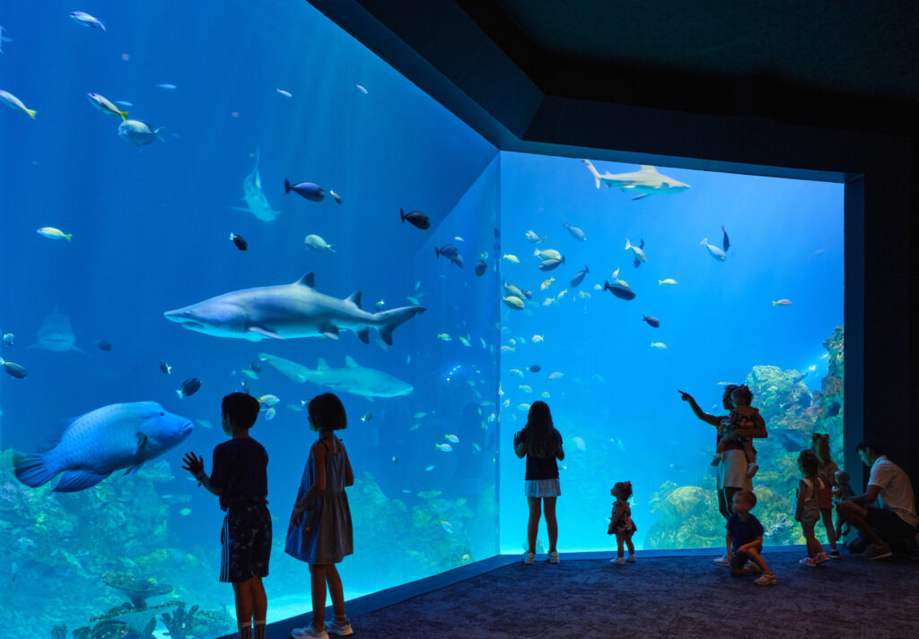 Kansas city zoo aquarium ehdd architecture interiors planning