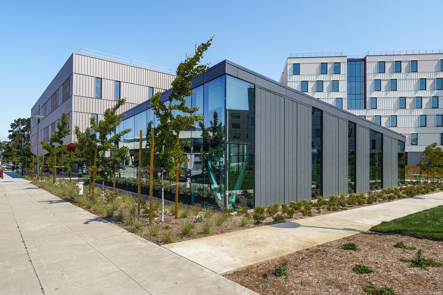 SFSU grey building outside with sidewalks